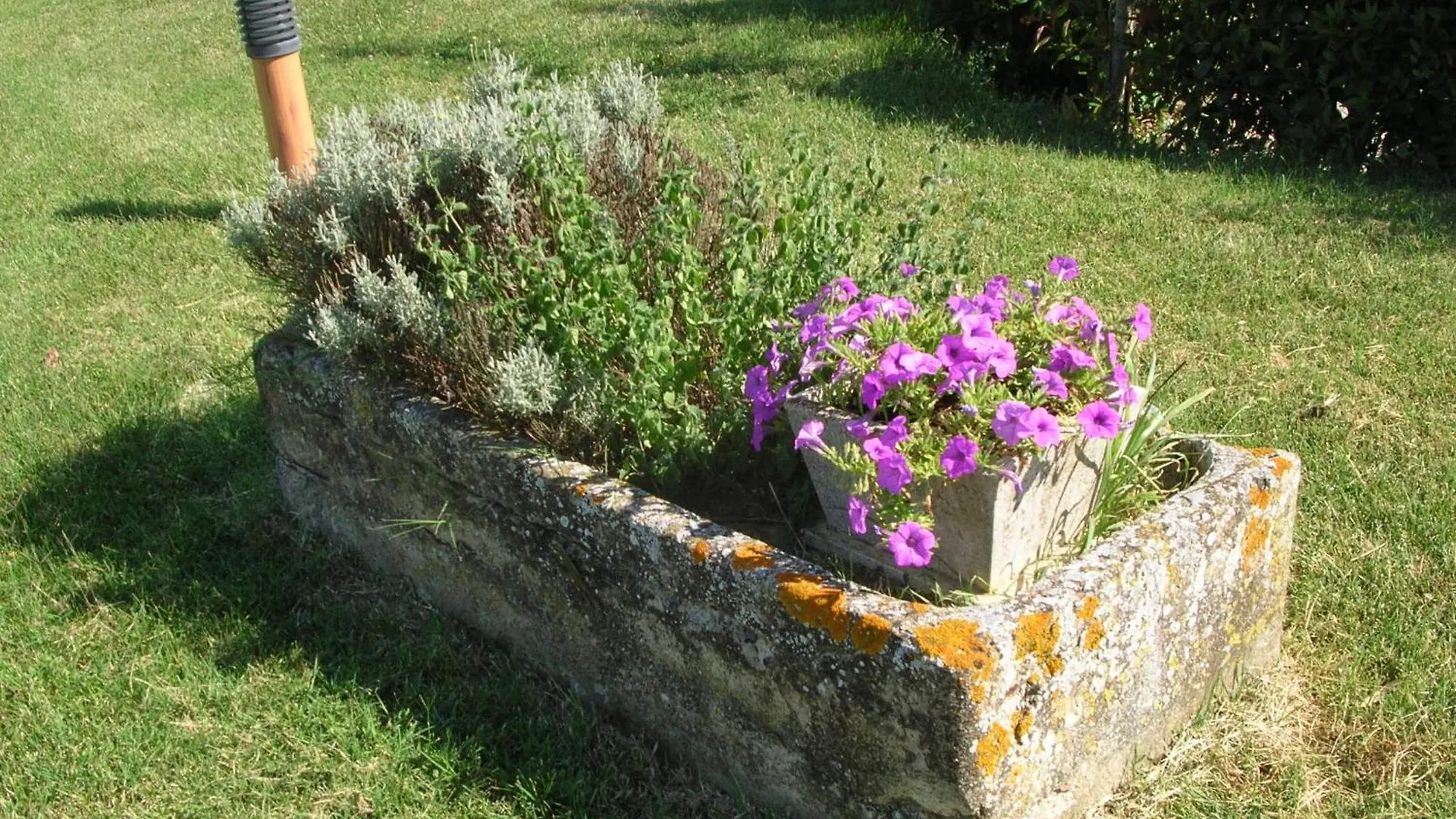أسكيانو Agriturismo Il Poderino إيطاليا