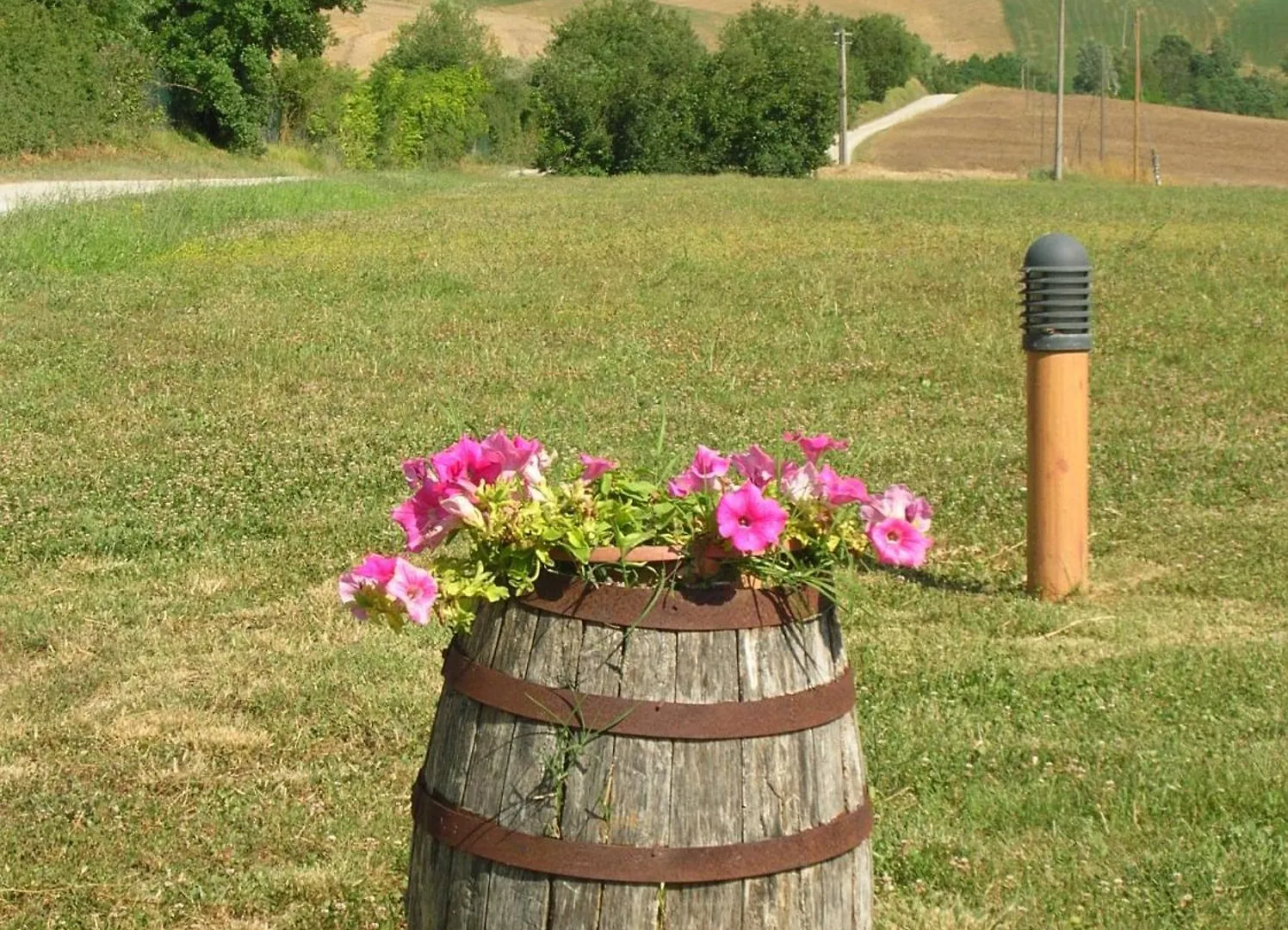 Agriturismo Il Poderino Asciano