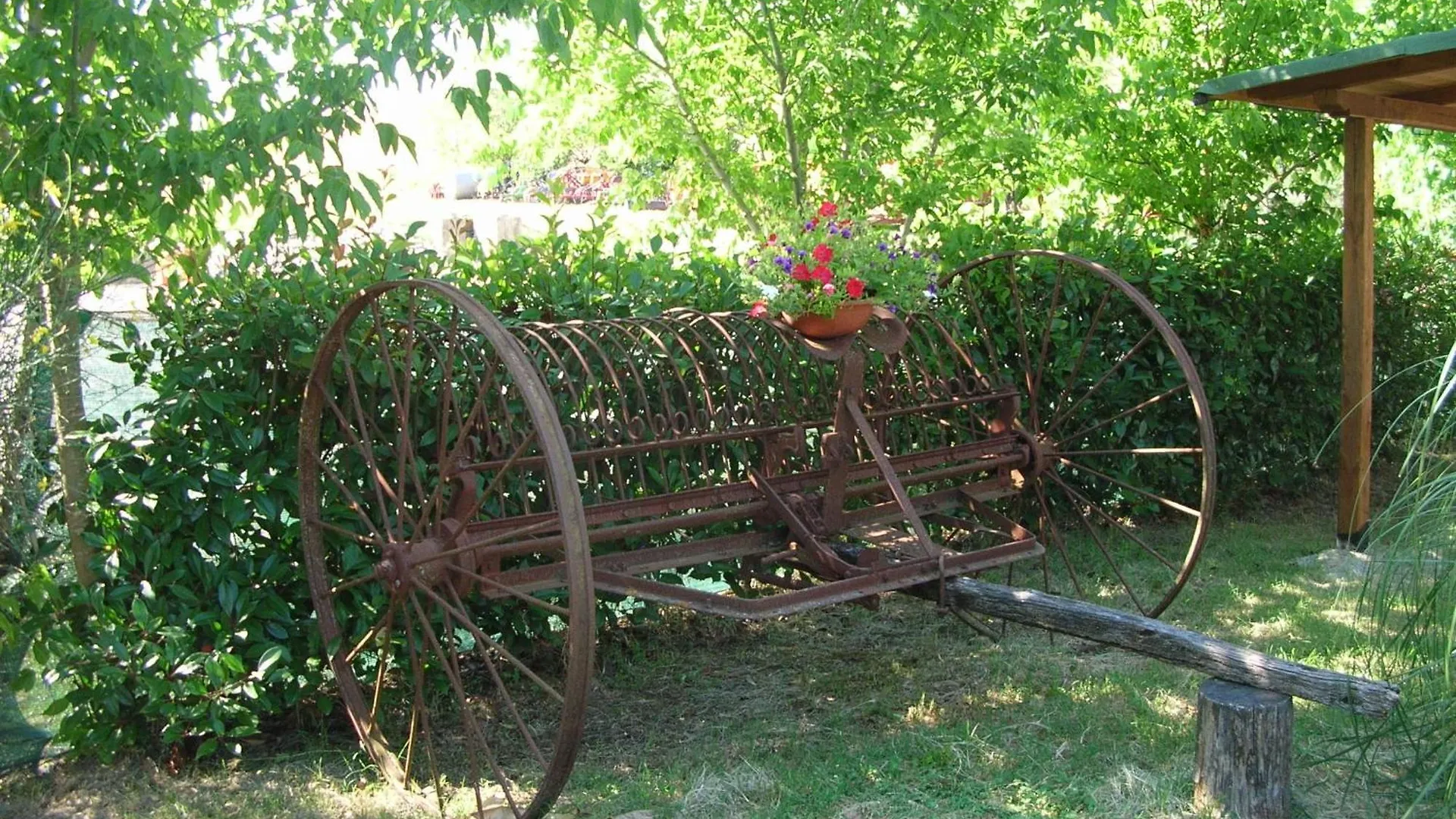 Agriturismo Il Poderino Asciano